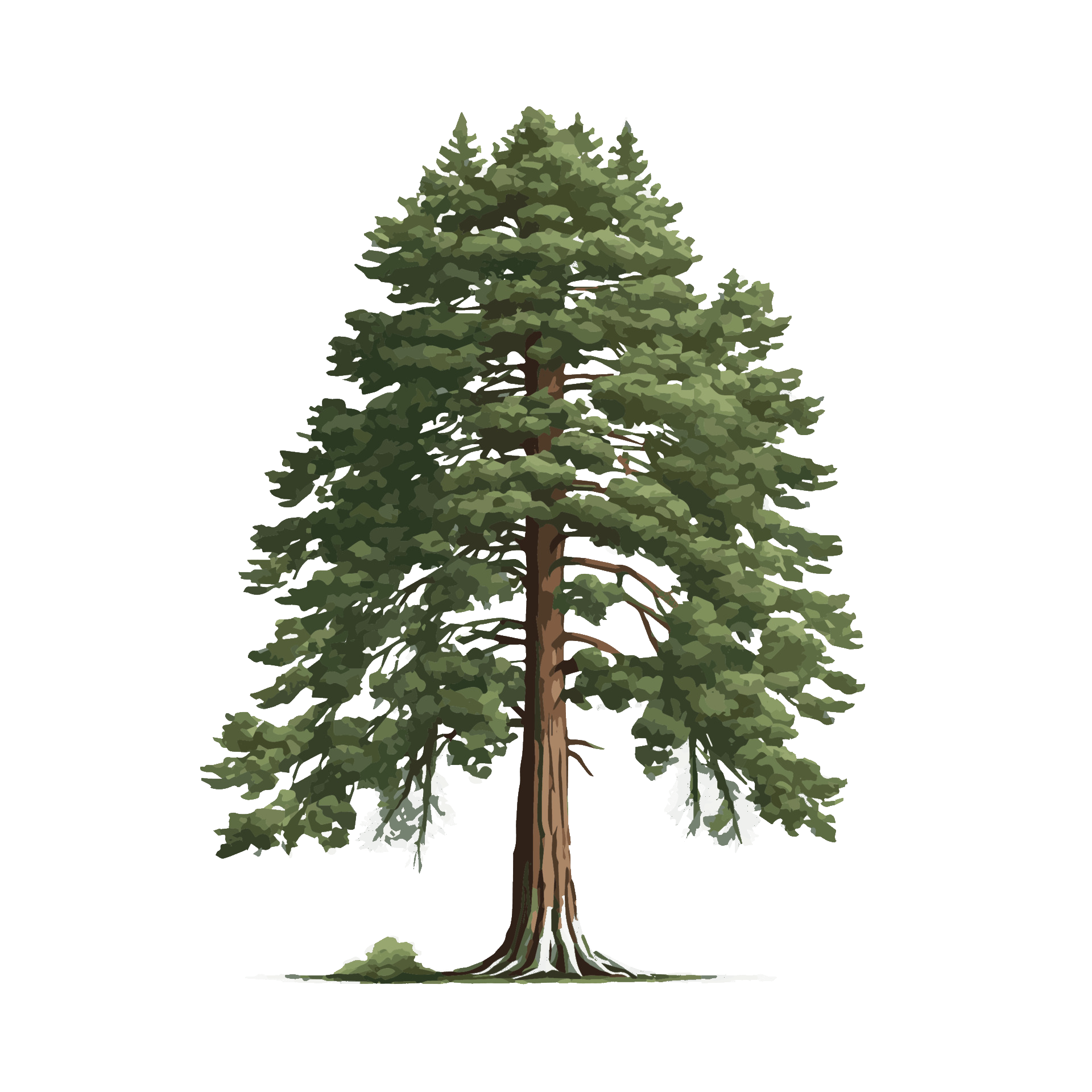 RisleeTree Studios logo